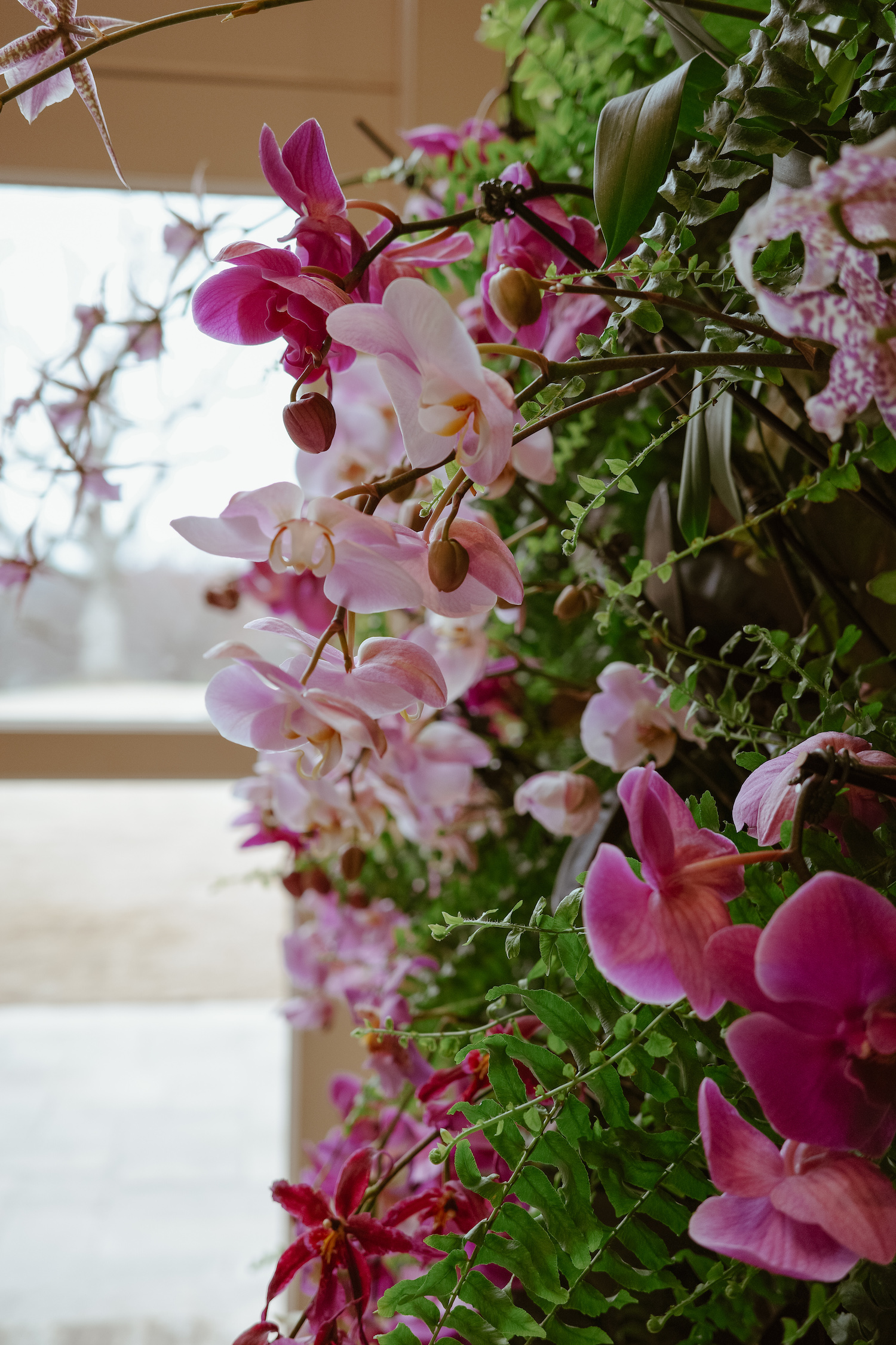 A Beautiful Winter Exhibition